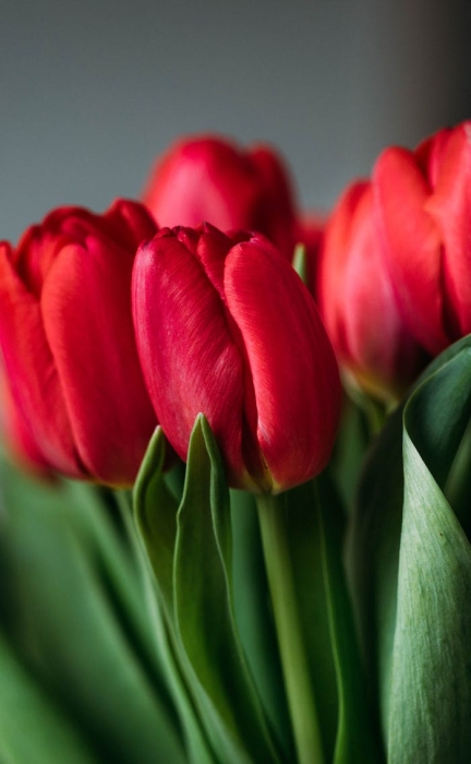 PIΰlչSEOȲ朳ҊFʽվc朽ӵch